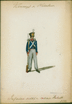 Koningrijk der Nederlanden. Infanterie achtste en zestiende Bataillons. (1814)