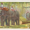An elephant team, Ceylon.