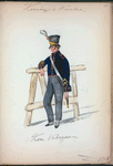 Koningrijk der Nederlanden. [...] Veteran. (1815)