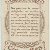 Sledging in Montreal.