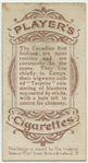 Camp of Red Indians, Canada.