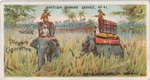 Tiger hunters in Bengal.