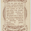 Leather industry, Zululand.
