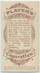 Leather industry, Zululand.