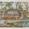 A settler's home New South Wales