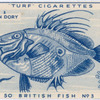 John dory.