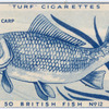 Common carp.