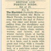 The blackbird.