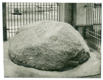 Plymouth Rock