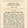 The bob-o-link or rice bird.