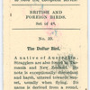 The dollar bird.