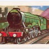 Woolwinder Pacific class.
