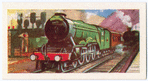 Woolwinder Pacific class.