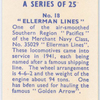 Ellerman Lines.