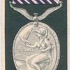 Distinguished Flying medal.