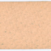 Class 5.F.