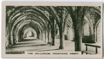 The Cellarium, Fountains Abbey.