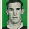 D.O. Williams.