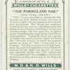 The Poringland Oak.