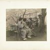 Women under the Cherry Tree