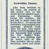 Cromwellian seaman.