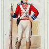 Royal marine, period 1805.