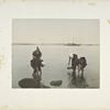 Women Gathering Shellfish