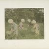 Herb Picking