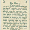 The cherry.