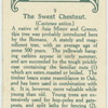 The sweet chestnut.