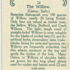 The willow.