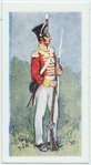 The Befordshire and Hertfordshire regiment.