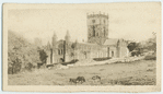 St. David's.