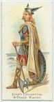 Danish warrior.