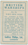 H.M.S. Iron Duke (flagship).