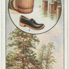 The alder.