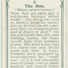 The box.