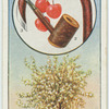 The cherry.