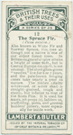 The spruce fir.