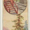 The larch.
