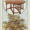 The oak.