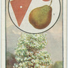 The pear.