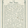 The pear.