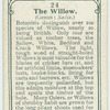 The Willow.