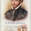 Sir Richard Grenville.