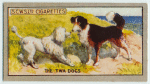 The Twa Dogs.
