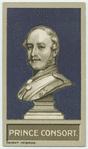 Prince Consort.