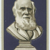 Darwin.