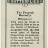 The peacock butterfly.