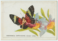 Index